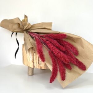 Setaria Preservada vermelho